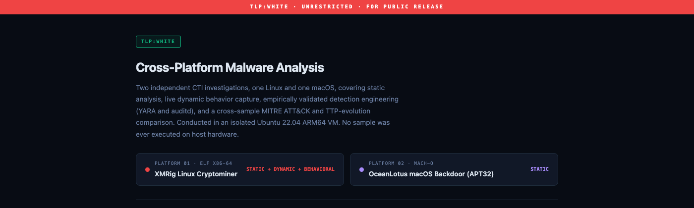 Malware Analysis Lab